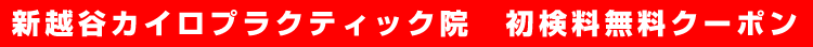 �V�z�J�J�C���v���N�e�B�b�N�@�@�I�[�v���L�����y�[���̂��ē�